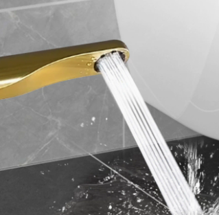 ABS-plast-skubbe-type tryksat bidet-sprøjte